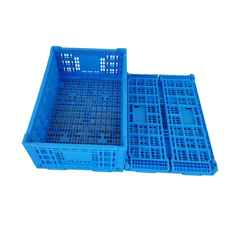product-750-750